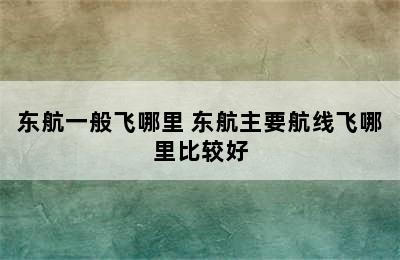 东航一般飞哪里 东航主要航线飞哪里比较好